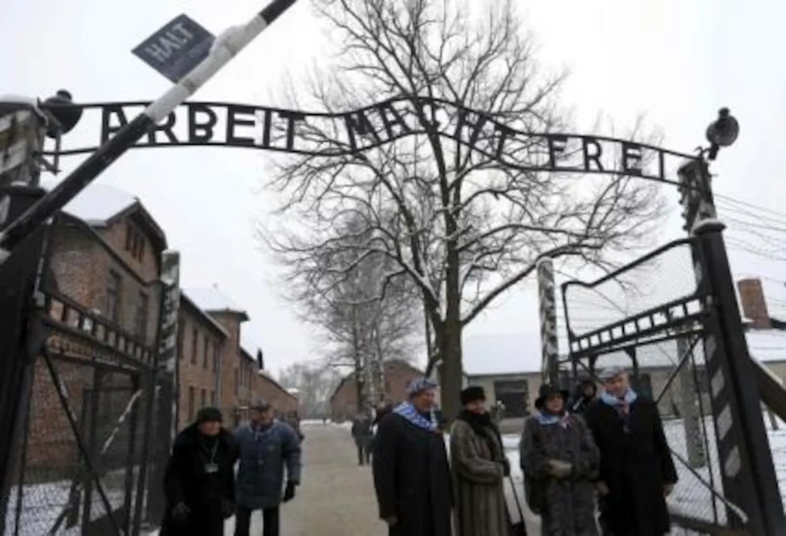 Sobreviventes do campo de concentração Auschwitz em frente ao portão do antigo local de extermínio (Imagem: Reprodução)