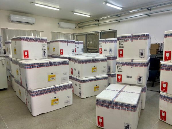 Vacina contra a Dengue